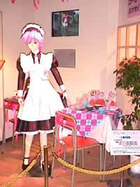 mvc-022f.jpg (22063 バイト)