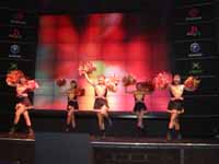 pa120076.jpg (8504 バイト)